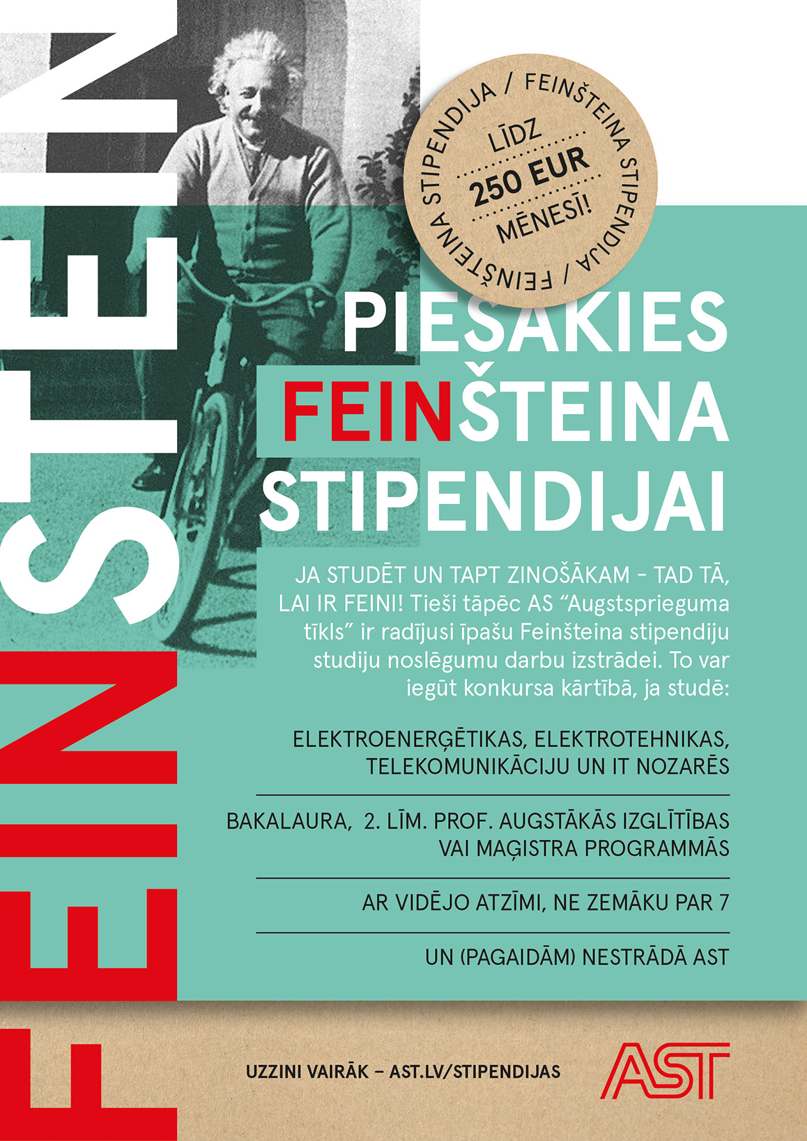FEIN-STEIN(plak)_webam_new_0.jpg